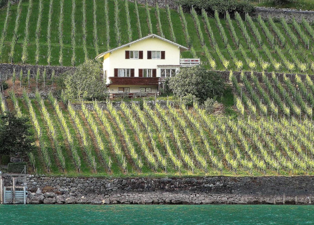 Haus Buenten Quinten Exteriör bild