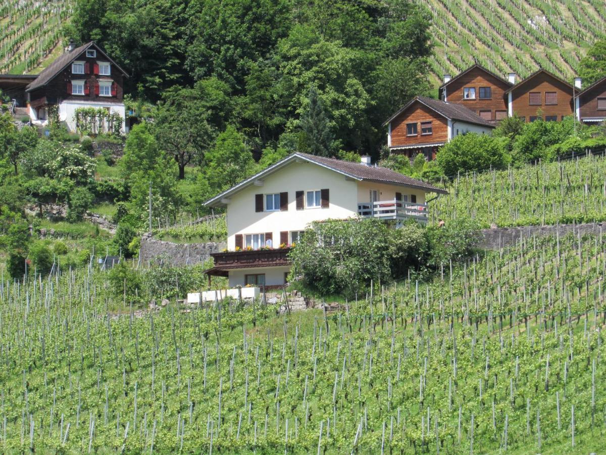 Haus Buenten Quinten Exteriör bild